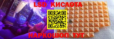 шишки Будённовск