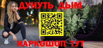 шишки Будённовск
