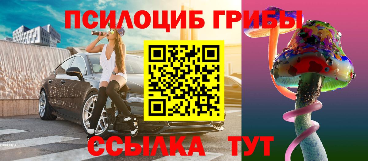 Псилоцибиновые грибы мицелий Ялта